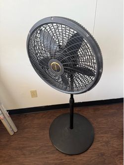 Lasko Fan
