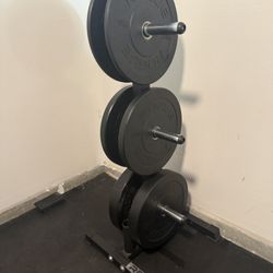 Rouge Weight Plates 160lbs + Rep Fitness Plate Tree