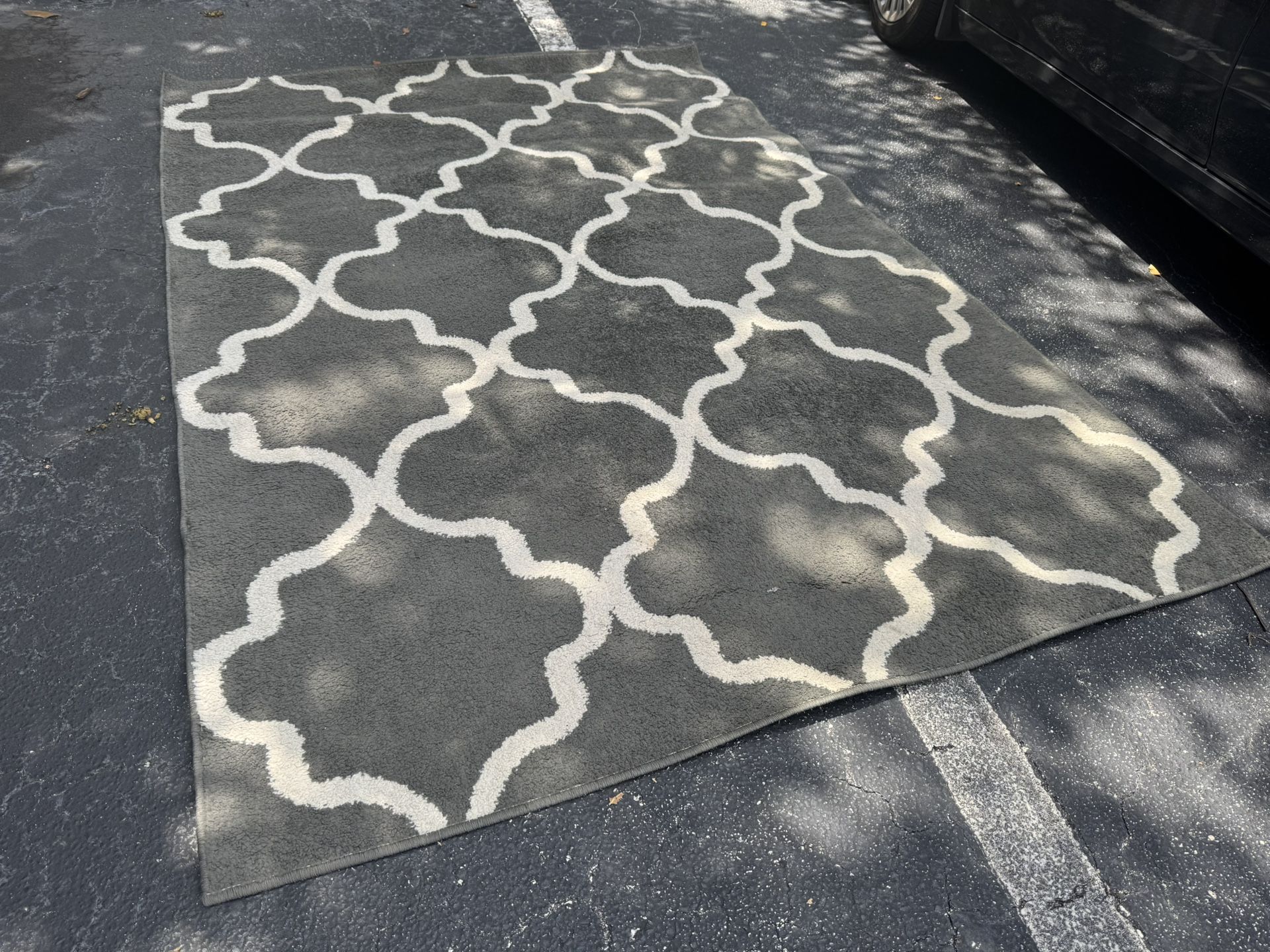 Area Rug