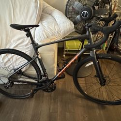 Giant Revolt 2 Bike