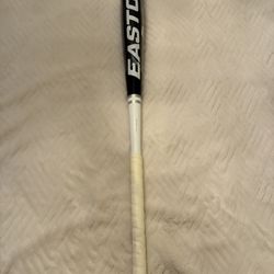 Easton Speed Bat