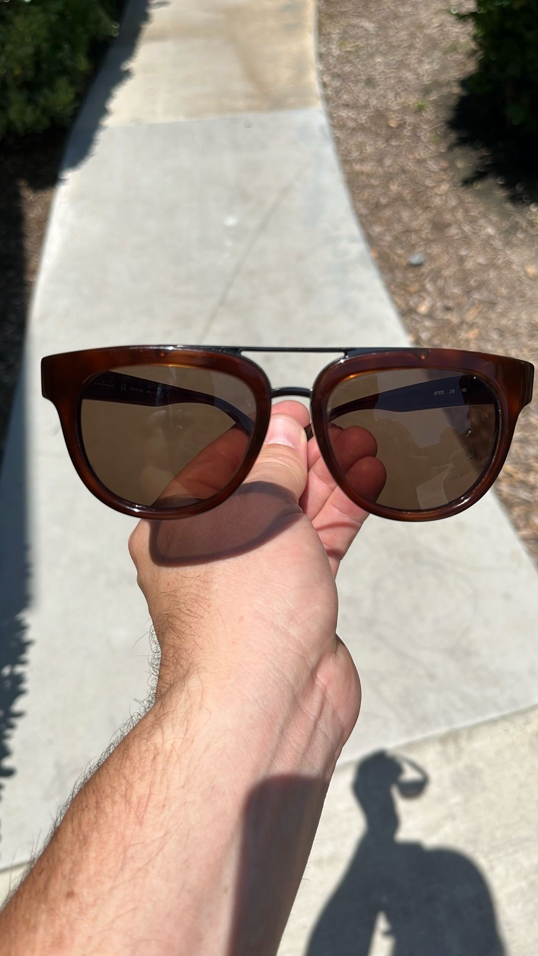 Ferragamo Sunglasses