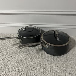 Cuisinart 2qt and 3qt Sauce Pans w/ Lid