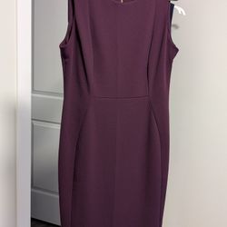Kalvin Klein Dress Size 12
