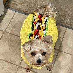 Joann’s Dog Taco Costume-NWOT-Size M/L