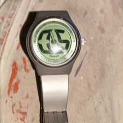 Fossil big tick