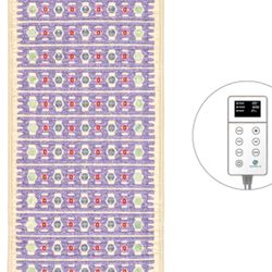 HealthyLine TAJ-Mat Full 7224 Firm Photon PEMF Therapy Mat