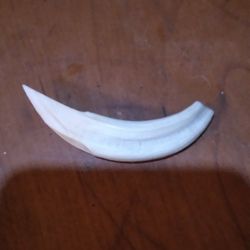 Colmillo De Gabali $200