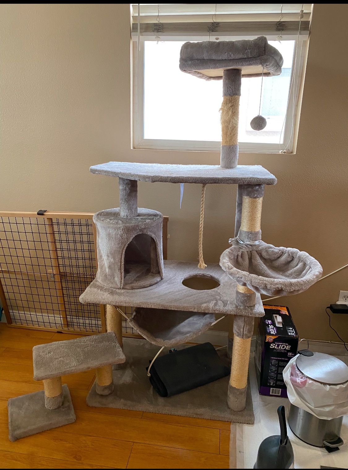 Kitty Tower, Kinda New OBO