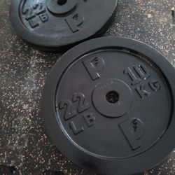 22lbs Weights 