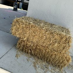 Horse Hay 