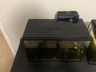 10 Gallon Fish Tank