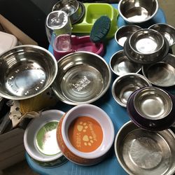 DOGS /CATS PLATES