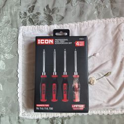 Torx Screwdriver Set
