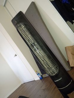 Black fan