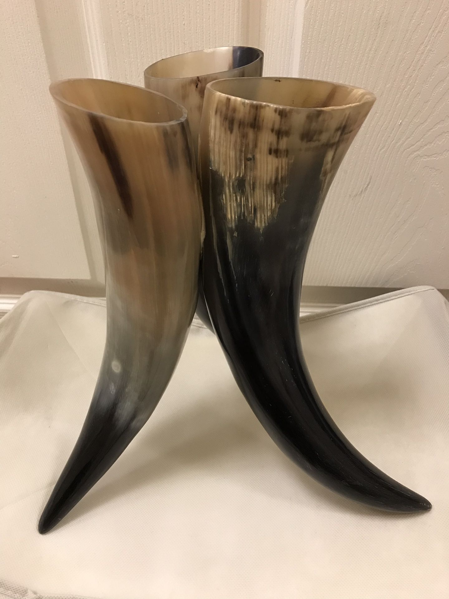 Rare 1950’s Bull’s Horns Vase