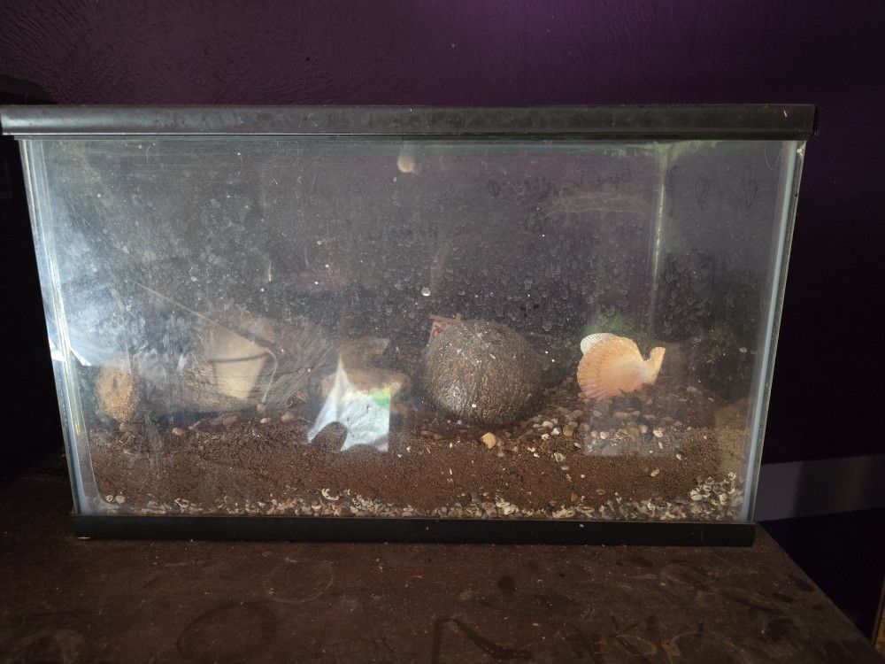Hermit Crab Tank Or 10 Gallon Fish Tank Used