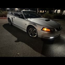 Mustang Gt Convertible 
