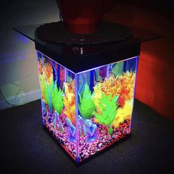 Aquarium End Table/Side Table/Coffee Table - LED Glowing Fish Tank Furniture for sofa, carpet, couch, sectional, chair, rug