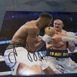 Oleksandr Usyk Pro Boxer