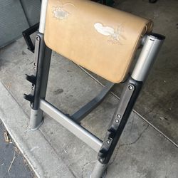 Torque fitness Preacher curl