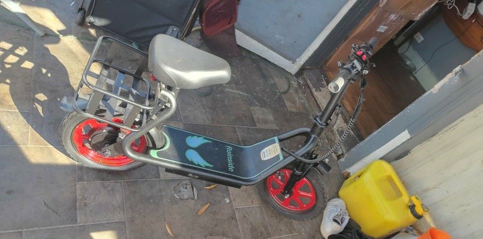 Roinside electric scooter