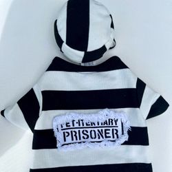 Small Dog Costume – “Petitentiary Prisoner” Outfit with Hat 