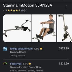 Stamina In Motion Rower 