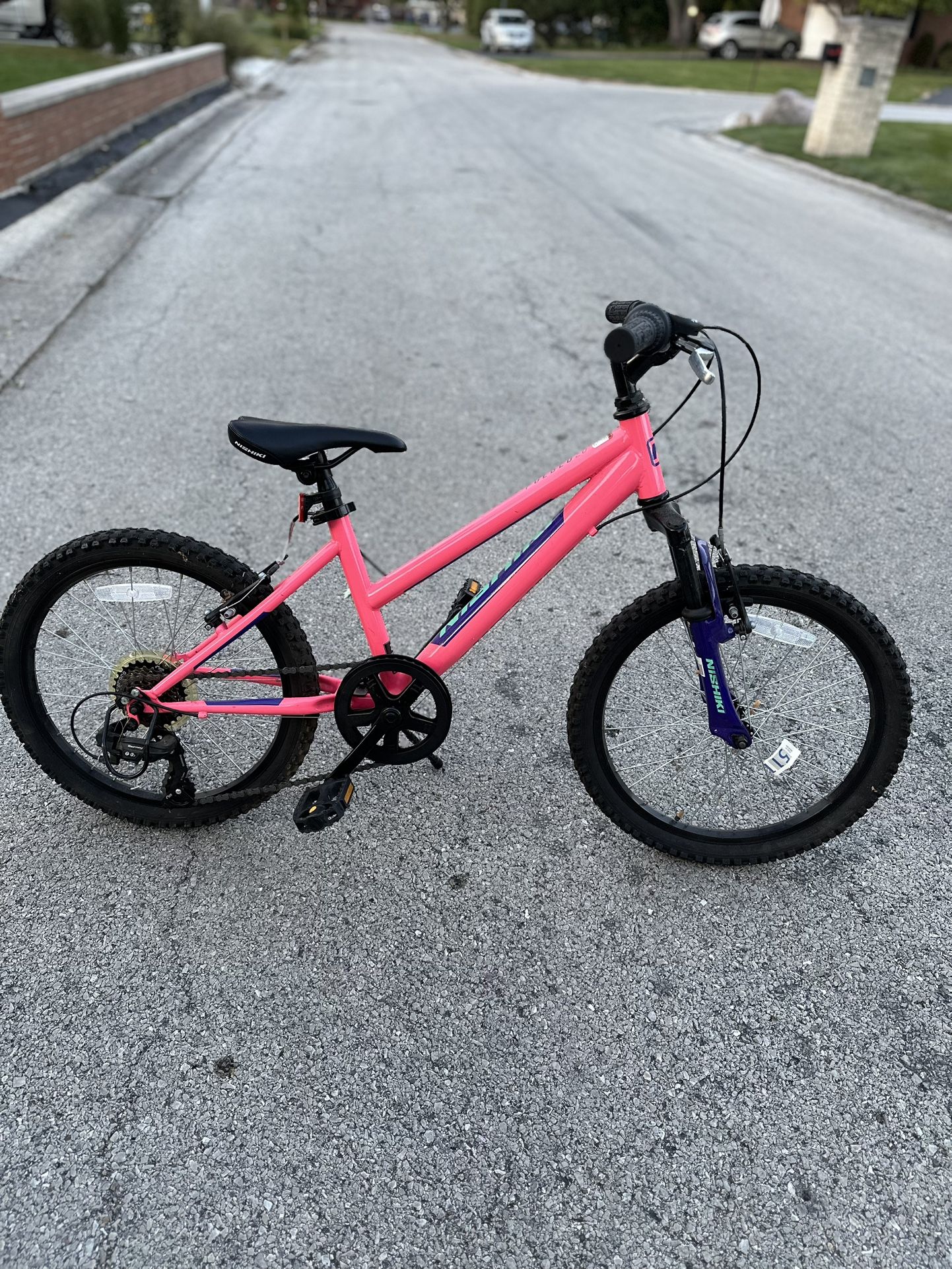 Nishiki Girls' Pueblo 1.1 20" Mountain Bike, Paid $225 New,  Only Ridden 1 Time, Like New 