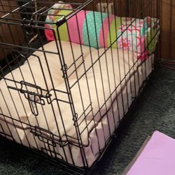 18 x 19 x 24” that crate with soft matching pillows!!