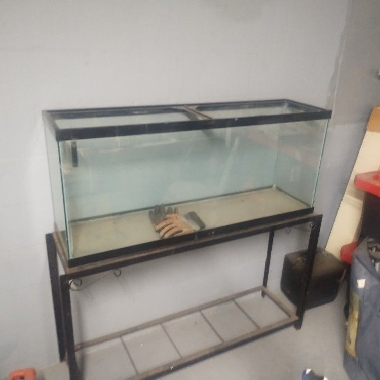 60 Gallon Fish Tank And Stand