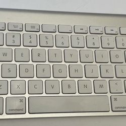 Apple A1314 Wireless Keyboard - MC184LL/B