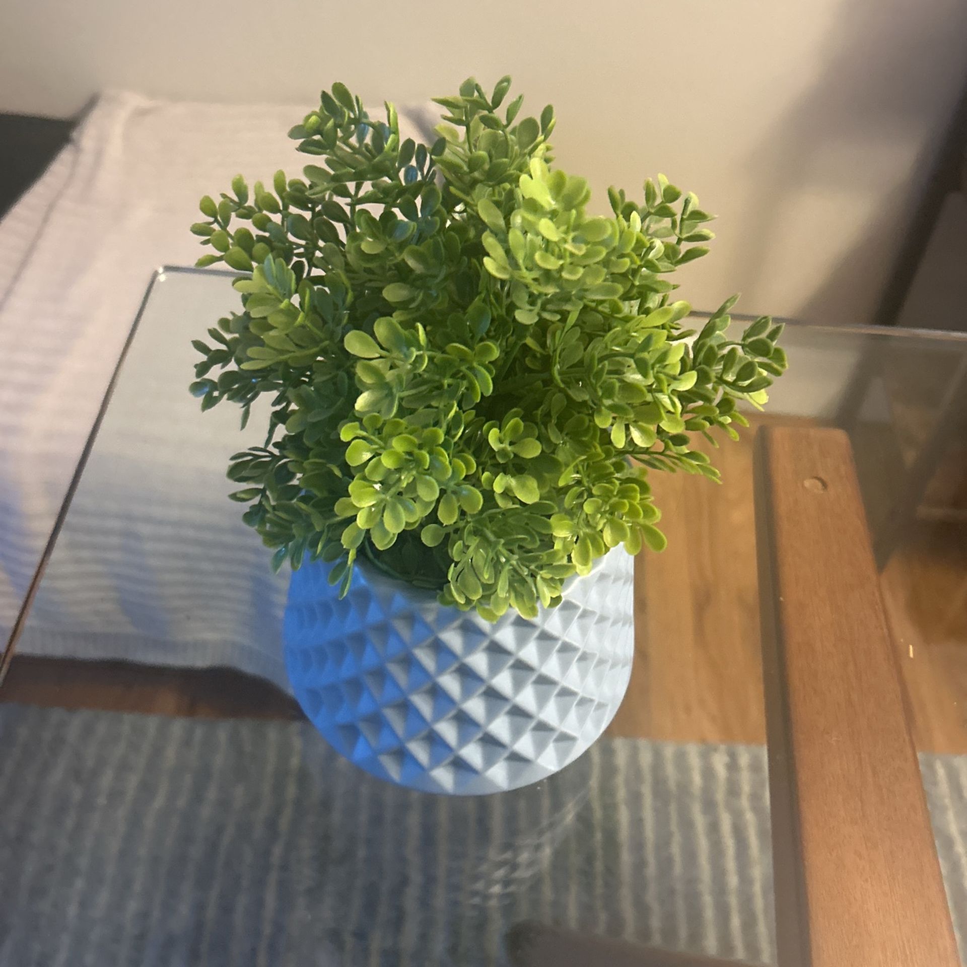 Fake Plant 