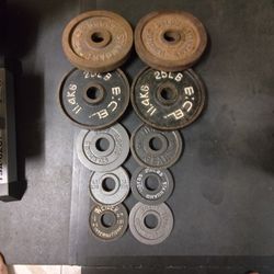 Spare 2.5lb, 5lb, And 25lb Old Olympic Plates--