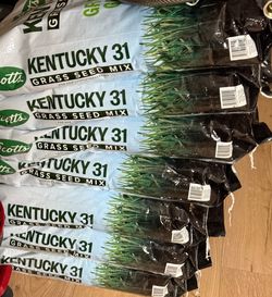 Scotts Kentucky 31 Grass Seed Mix – $30 each