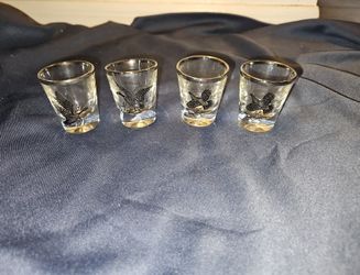 35= Silver Rimmed Federal Game Bird Lowball Whiskey Glasses Canada Goose