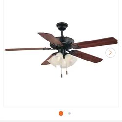 Ceiling fan with lights