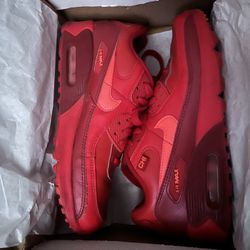 Nike Air Max 90 City Special Chicago