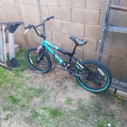 20-in Bike Freestyle