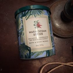 Bath and body works candle
