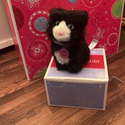 American Girl Pet Cat