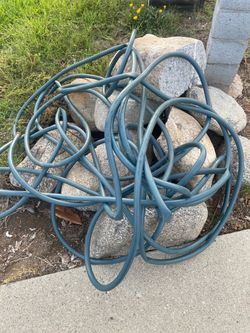 Hose water garde 100ft
