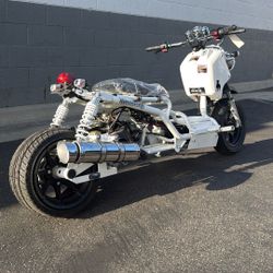 Maddog 50CC Automatic Motorcycle