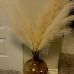 Brown Large Glass Jug With Pampas Grass