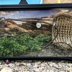 20 Gallon Reptile Tank + Decor – 30” x 13” x 12”