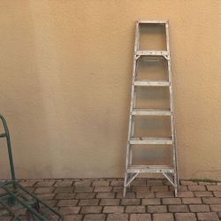 6ft Ladder 