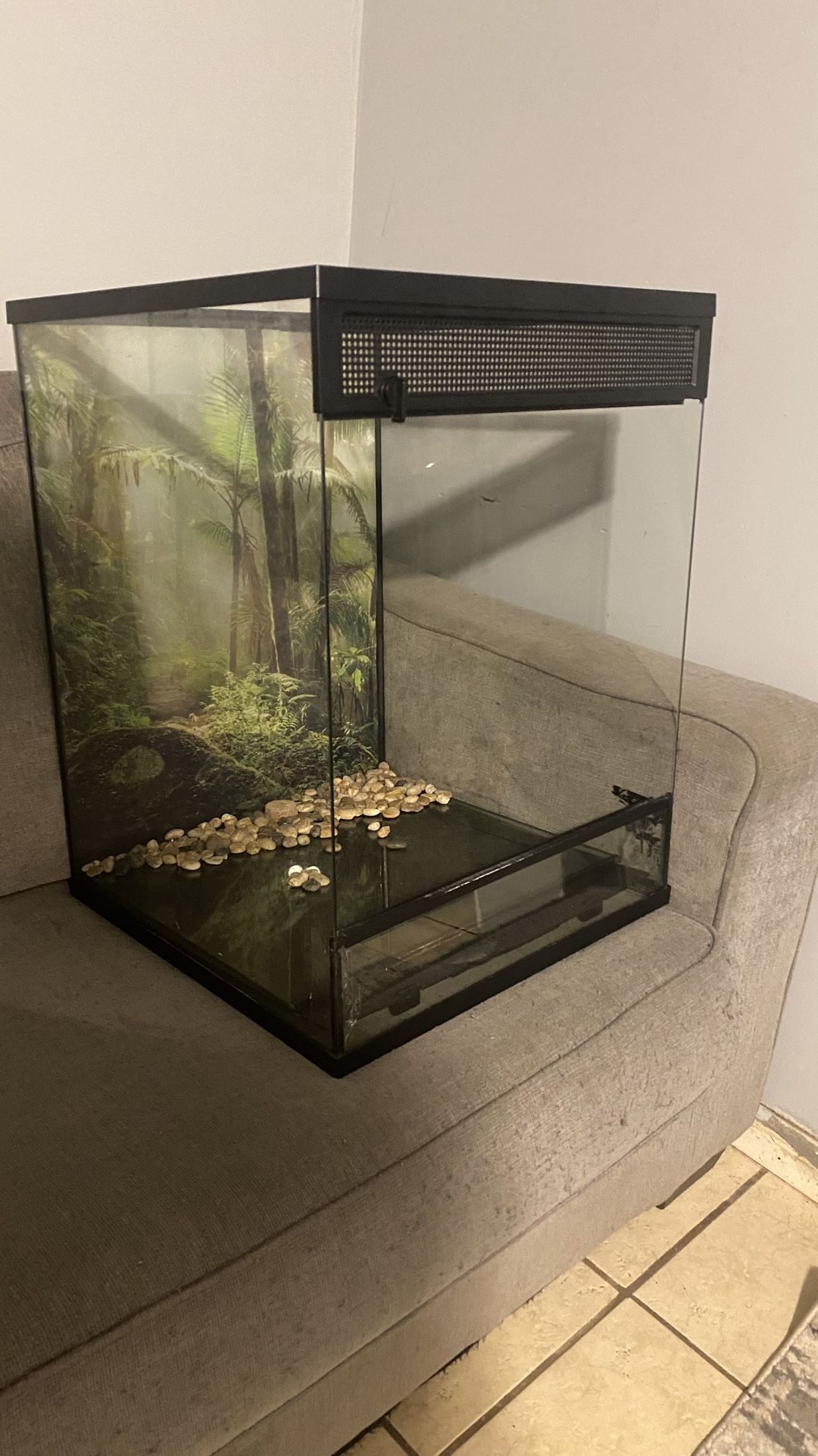 30 Gallon Cube Terrarium And Youth Size Jordan’s