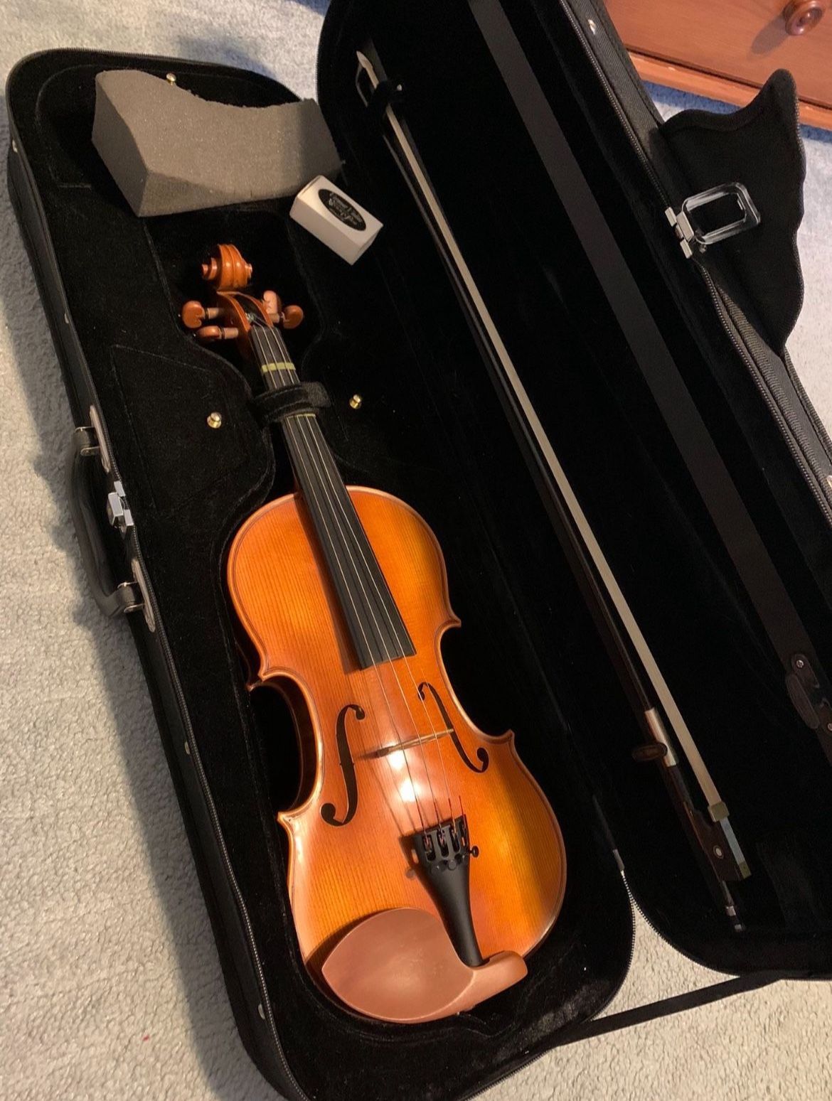Violin