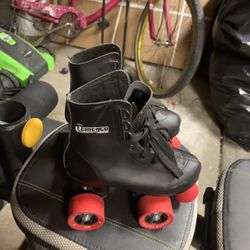 Chicago Skates 