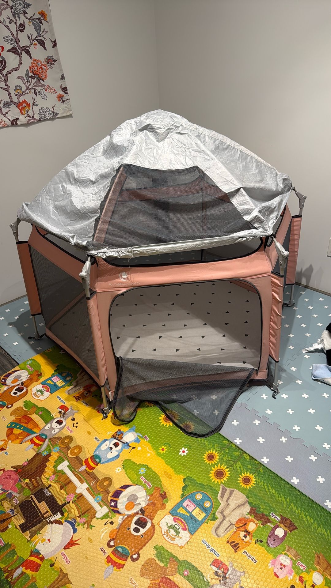 Near-New Pop-up Tent
